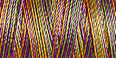 Gütermann Rayon 40/ 200 m Stickfaden