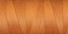 0122 Apricot