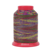 Baby Lock Dekorgarn Regenbogenfarbe No.30 Minikone/ 500 m