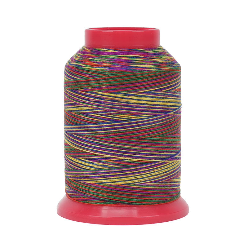 Baby Lock Dekorgarn Regenbogenfarbe No.30 Minikone/ 500 m