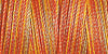 Gütermann Cotton 30/ 300 m Stickfaden