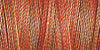Gütermann Cotton 30/ 300 m Stickfaden