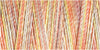 Gütermann Cotton 30/ 300 m Stickfaden