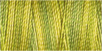 Gütermann Cotton 30/ 300 m Stickfaden