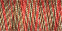 Gütermann Cotton 30/ 300 m Stickfaden