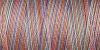 Gütermann Cotton 30/ 300 m Stickfaden