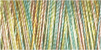 Gütermann Cotton 30/ 300 m Stickfaden