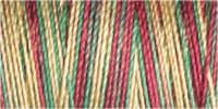 Gütermann Cotton 30/ 300 m Stickfaden