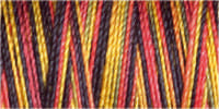 Gütermann Cotton 30/ 300 m Stickfaden