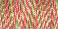 Gütermann Cotton 30/ 300 m Stickfaden