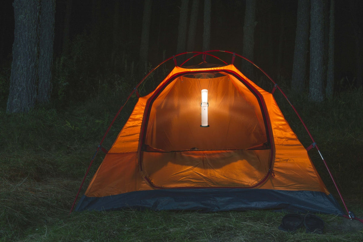 Daylight Twist 2 Go Netz + Akku LED Tageslichtleuchte (weiß/ blau)