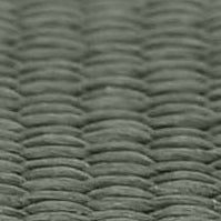 Trägerband (2,5 cm breit)