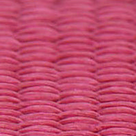 Trägerband (2,5 cm breit)