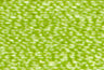 6011
