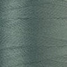 0646-Palm Leaf