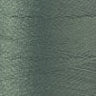 1210-Seagrass