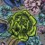 100183- Floral/grau grundig