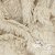 62389 - beige