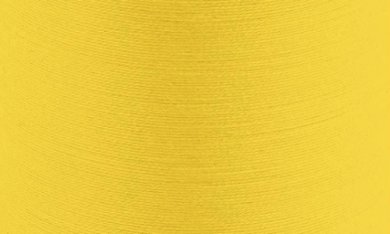 069 - sunflower