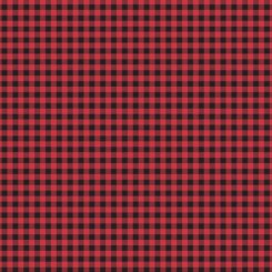 Buffalo Check