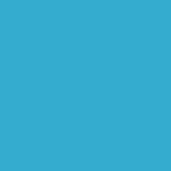 Silhouette Flockbügelfolie (30,5 cm x 91,4 cm/ versch. Farben) Light Blue