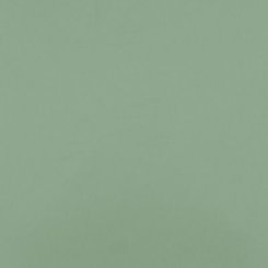 424-eucalyptus