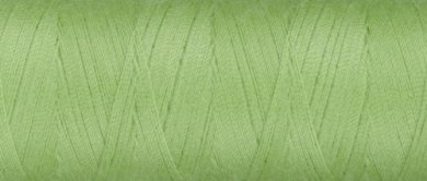 1098 - Kiwi