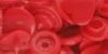 393 338 - rot