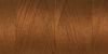 0262 Penny