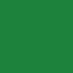 GT2308026 - grün