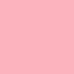 GT2308031 - pink