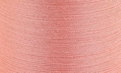 379 - salmon
