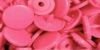 393147 pink