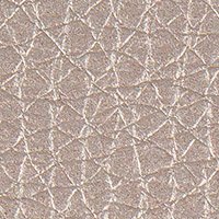 5005 - taupe metallic