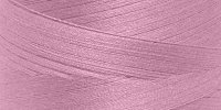 5205-Orchidee