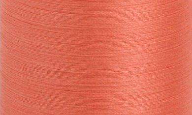 588 - salmon