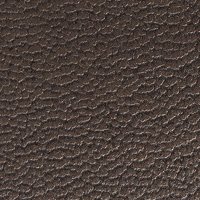 2026 taupe-metallic