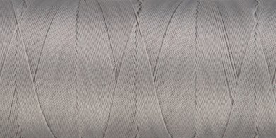 0340 Silver coin