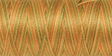 Amann Mettler SILK-FINISH COTTON MULTI No.50/ 100 m 9835