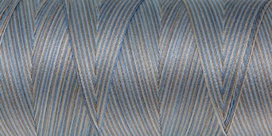 9843 Silvery Blues