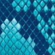 Schlangenblau
