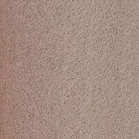 3005-sand
