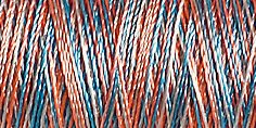 Gütermann Rayon 40/ 200 m Stickfaden 2206