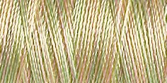 Gütermann Rayon 40/ 200 m Stickfaden 2202