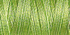 Gütermann Rayon 40/ 200 m Stickfaden 2113