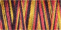 Gütermann Cotton 30, 300m 4117