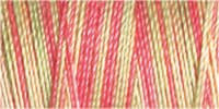 Gütermann Cotton 30, 300m 4127