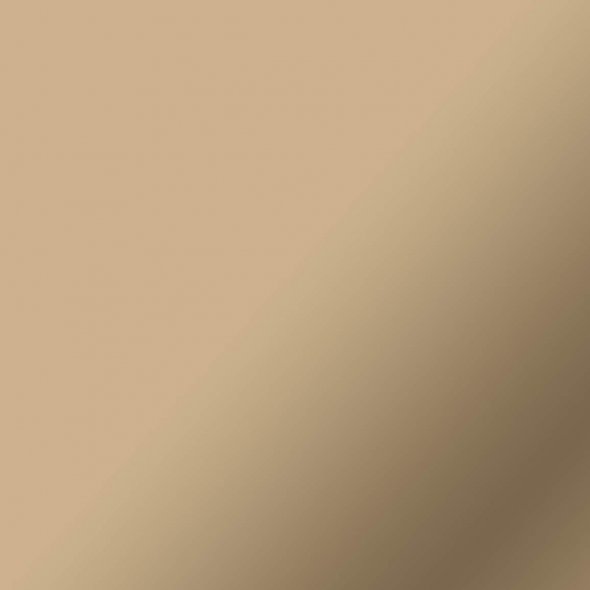 Cricut Smart Vinyl Permanent Matt Metallic (33 x 90 cm) Champagne