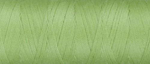 Amann Mettler SERACYCLE No.120/ 200 m Universalnähgarn 1098 - Kiwi