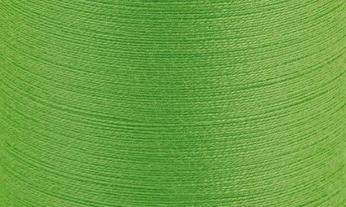 Madeira Sensa Green No.40 (1000 m) 469 - fern